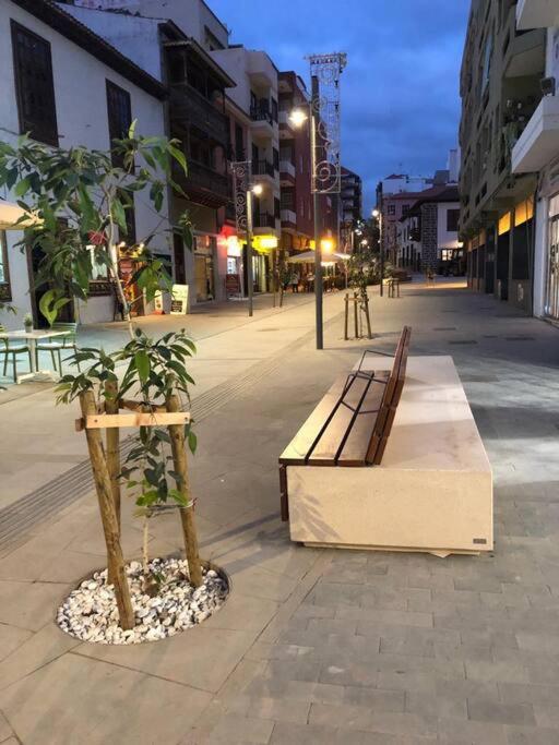 Estudio Con Amplia Terraza En Puerto De La Cruz Esterno foto